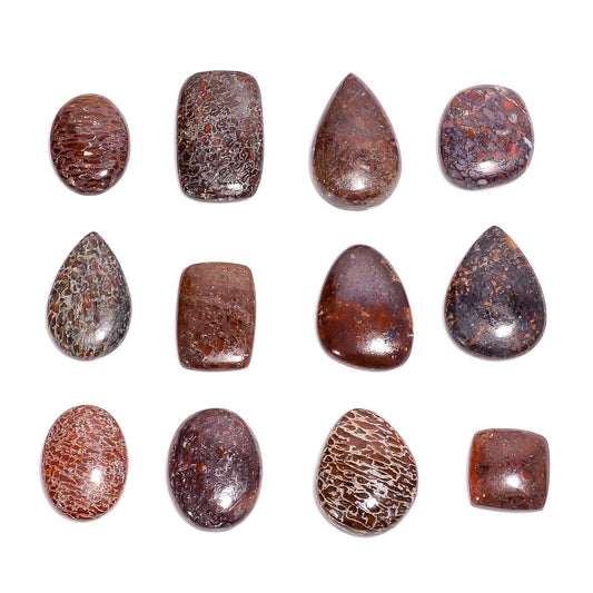 Polished dinosaur bone jasper gemstone meaning and healing properties