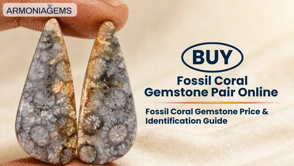 buy-fossil-coral-gemstone-pair-online-price-identification-guide
