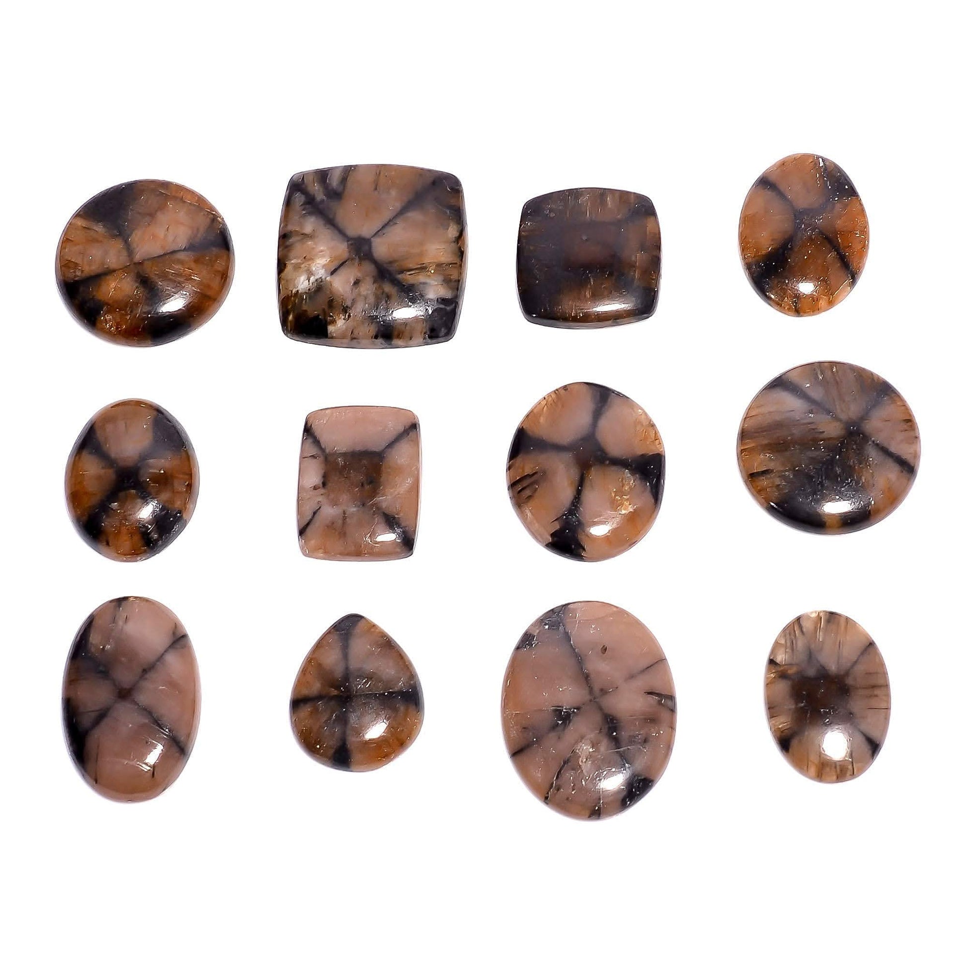 3pcs Natural Chiastolite Gemstone Cabochons