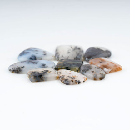 A+ Dendritic Agate Mix Shape Gemstones Cabochons [20-30mm] (5pcs)