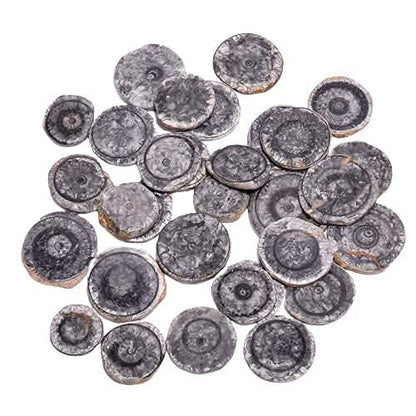 3 TO 4pcs Natural Horn Black Coral Round Slices Gemstone Wholesale Cabochons Lot, Jewelry Making Loose Gemstone, Polished Home Decor Specimen, DIY, Wire Wrapping, Healing Crystals