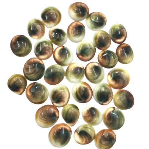 Natural shiva eye shell cabochon wholesale lot 3-5pcs – spiral brown green pattern Australia AAA quality