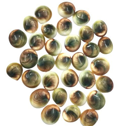 Natural shiva eye shell cabochon wholesale lot 3-5pcs – spiral brown green pattern Australia AAA quality