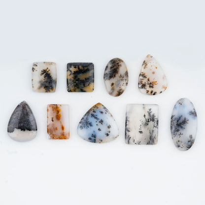 A+ Dendritic Agate Mix Shape Gemstones Cabochons [20-30mm] (5pcs)