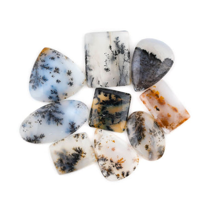 A+ Dendritic Agate Mix Shape Gemstones Cabochons [20-30mm] (5pcs)