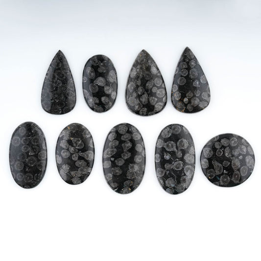 Fossil Coral Gemstones Cabochons