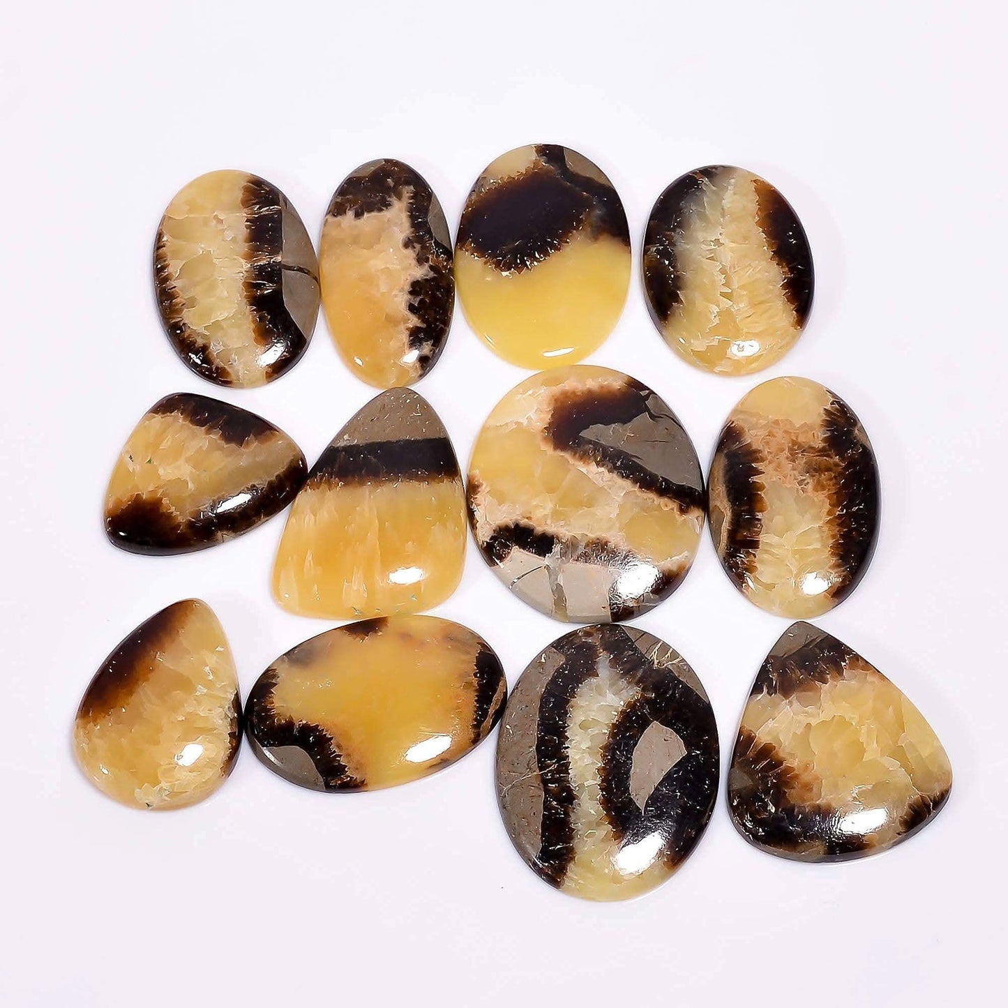 Close-up of natural septarian crystal showing aragonite and calcite mineral pattern