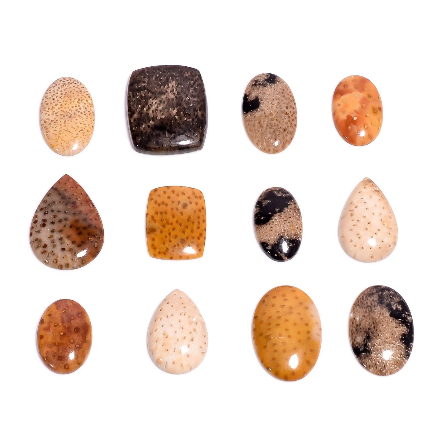 Palm root jasper stone cabs mixed shape flat back jewelry making lot

