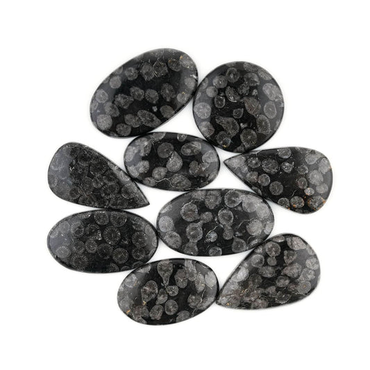 Black Fossil Coral Gemstones 