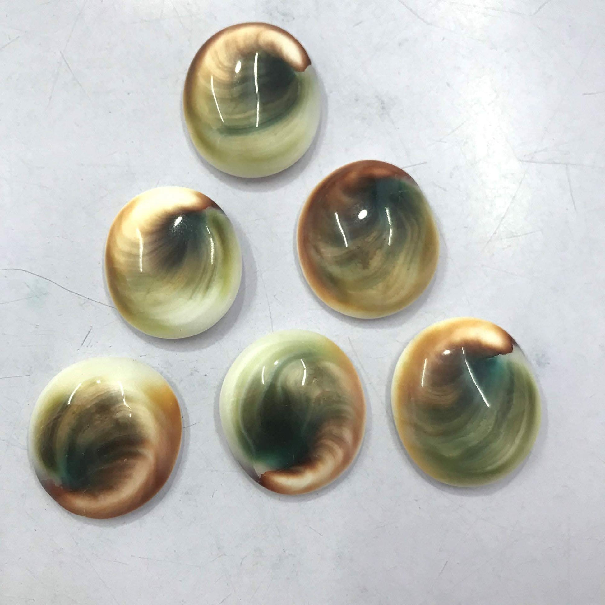 Shiva eye shell jewelry making cabochons – AAA quality Australia origin wholesale lot close up