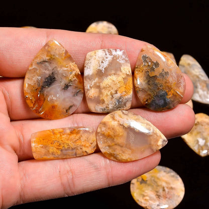 Real plume agate cabochon showing feathery plume pattern inside
