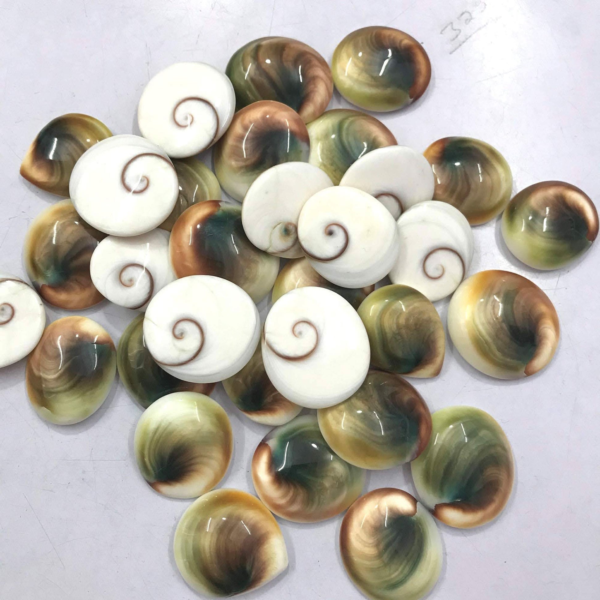 Pacific cat eye shell cabochons – natural spiral pattern shiva eye stone wholesale pieces
