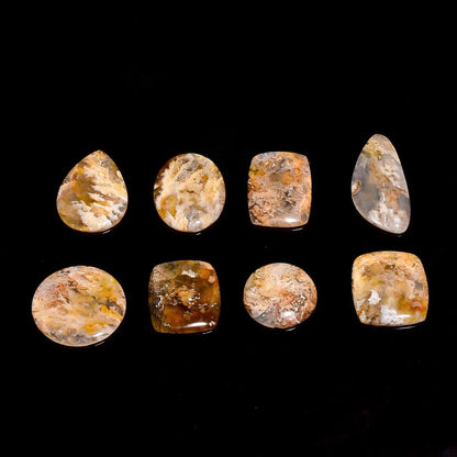 Plume agate cabs mixed shape flat back wire wrap supply A grade
