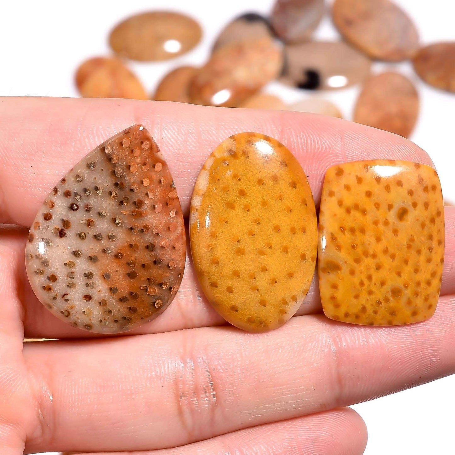 Natural palm wood jasper gemstone lot 70 carats AA grade Australia
