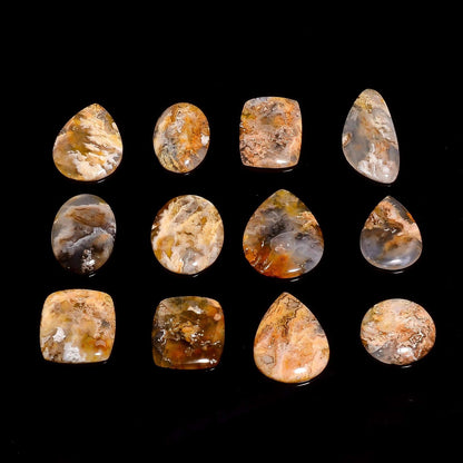 Natural plume agate cabochon lot loose gemstones for jewelry making
