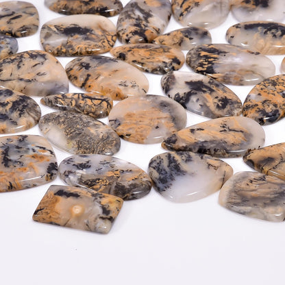 Tiger Dendritic Agate Mix Shape Gemstones Cabochons [25-35mm] (3pcs)