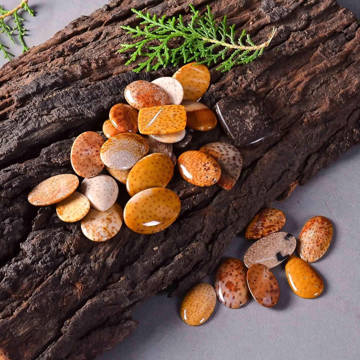 Palm wood jasper cabochon held in hand showing real wood grain pattern
