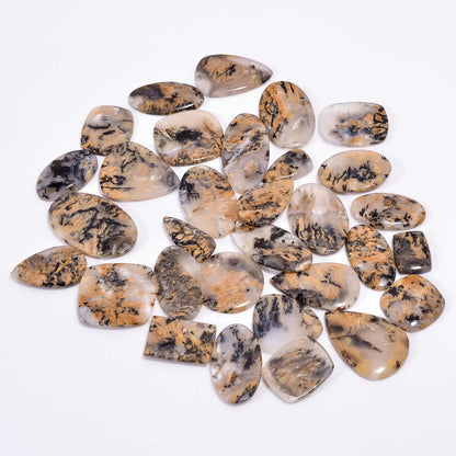 Tiger Dendritic Agate Mix Shape Gemstones Cabochons [25-35mm] (3pcs)