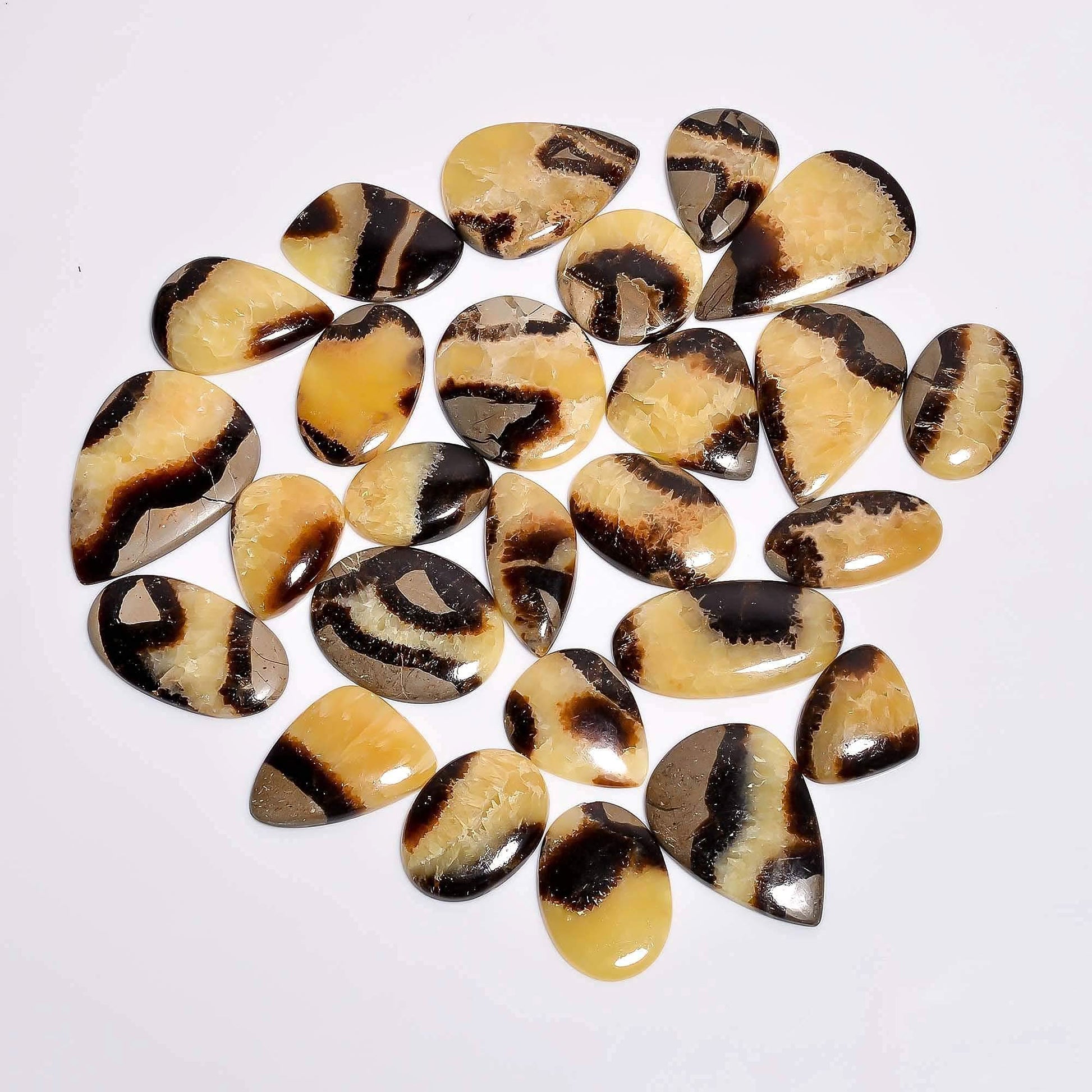 Septarian dragon stone 20–30 mm flat back for wire wrapping and jewelry making