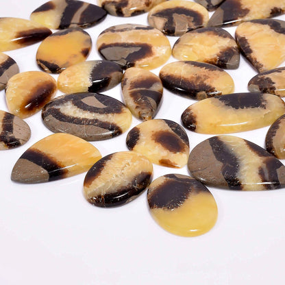Wholesale septarian gemstone lot 2–3 pcs natural healing crystals loose cabochon