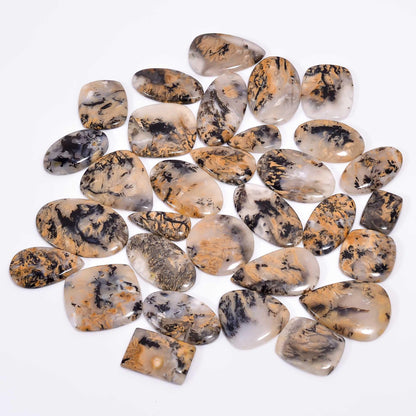 Tiger Dendritic Agate Mix Shape Gemstones Cabochons [25-35mm] (3pcs)