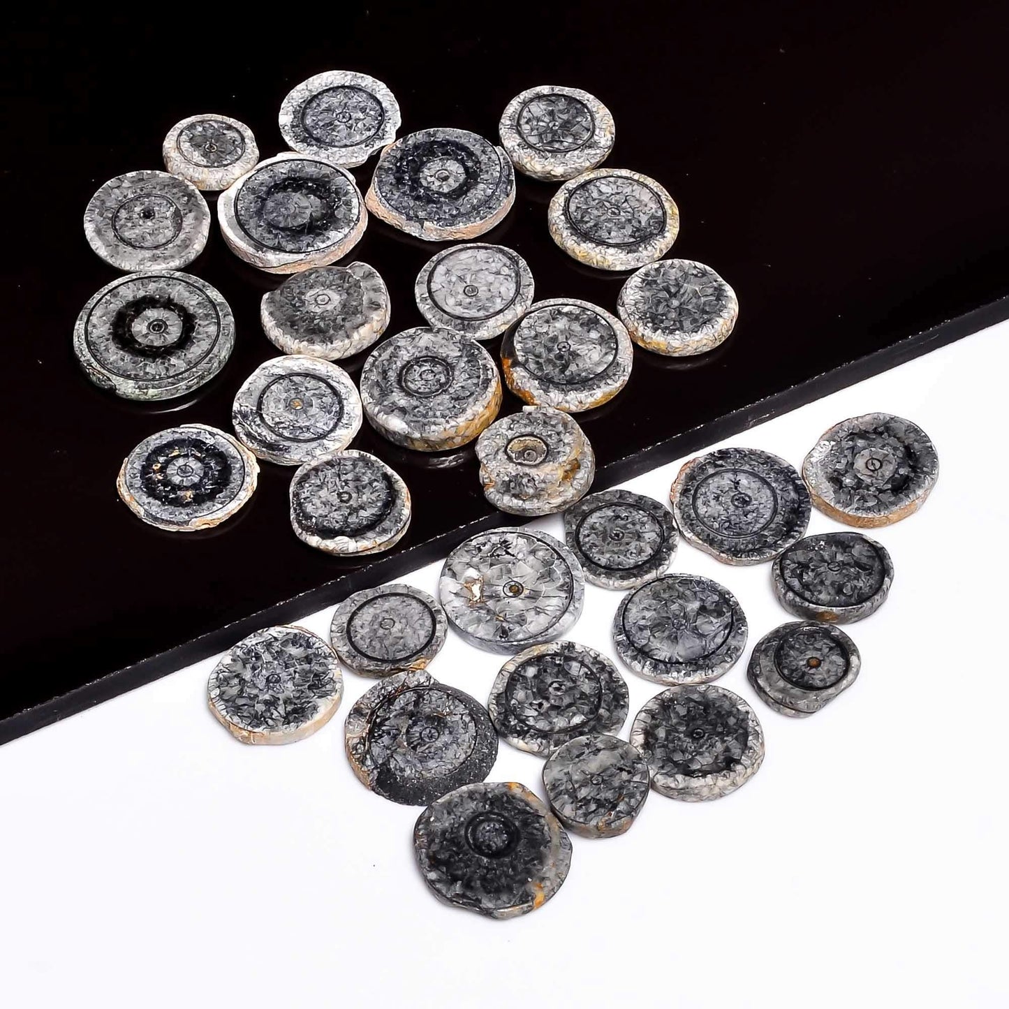 3 TO 4pcs Natural Horn Black Coral Round Slices Gemstone Wholesale Cabochons Lot, Jewelry Making Loose Gemstone, Polished Home Decor Specimen, DIY, Wire Wrapping, Healing Crystals