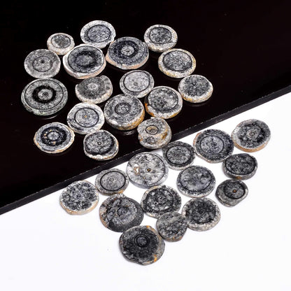3 TO 4pcs Natural Horn Black Coral Round Slices Gemstone Wholesale Cabochons Lot, Jewelry Making Loose Gemstone, Polished Home Decor Specimen, DIY, Wire Wrapping, Healing Crystals