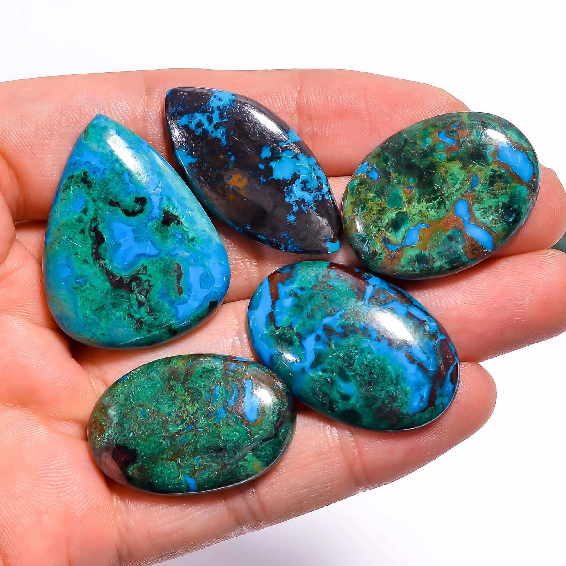 Bulk Parrot Wing Chrysocolla Loose Cabochon Stones