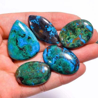 Bulk Parrot Wing Chrysocolla Loose Cabochon Stones