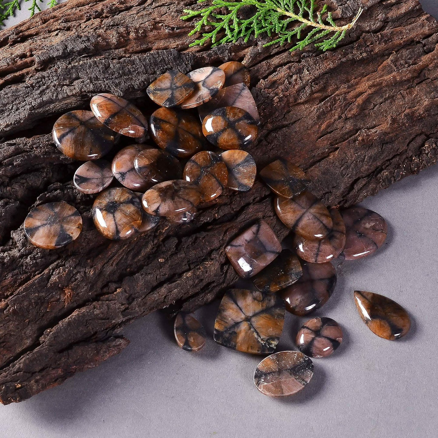 Buy Chiastolite Gemstone Cabochons Lot