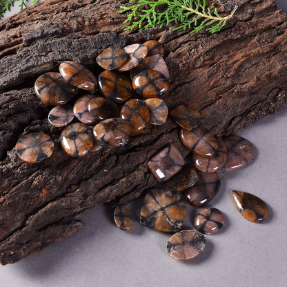 Buy Chiastolite Gemstone Cabochons Lot