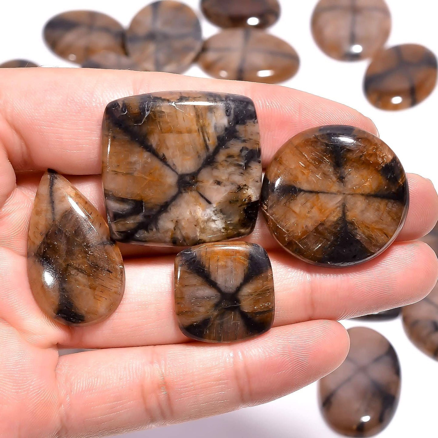 Buy Chiastolite Gemstone Wholesale Cabochons Lot