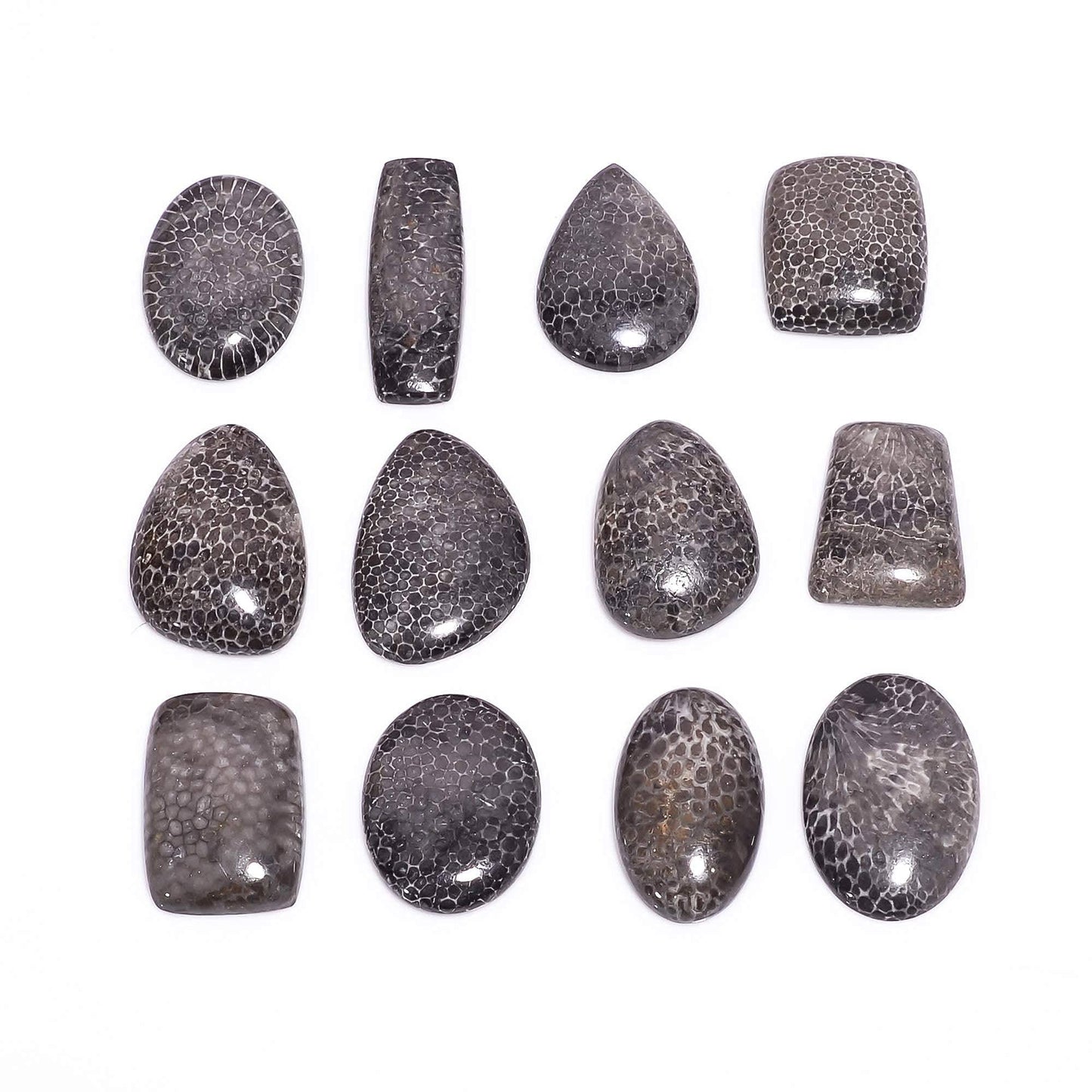 Buy polished black coral gemstone cabochons bulk
