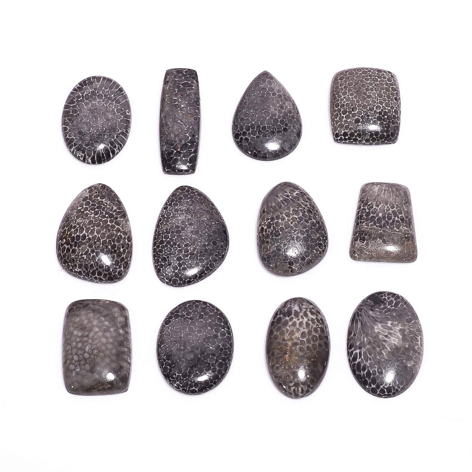 Buy polished black coral gemstone cabochons bulk
