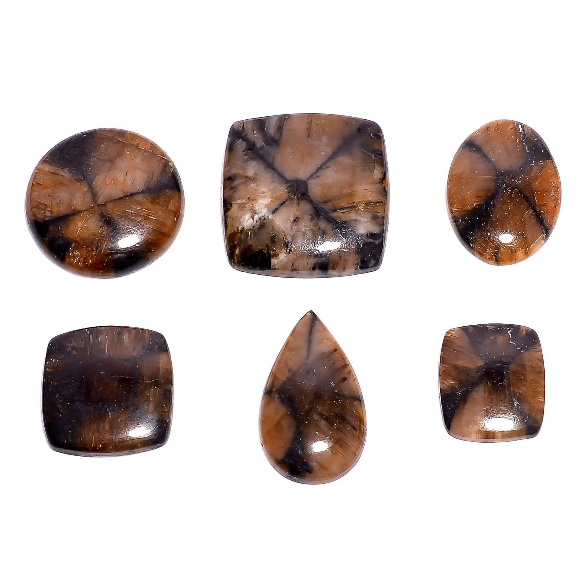 Chiastolite Gemstone Wholesale Cabochons Lot