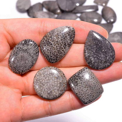 Shop natural black coral cabochons for jewelry making