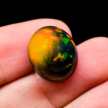 Welo Opals Oval Cabochon Loose Gemstone - photo 3