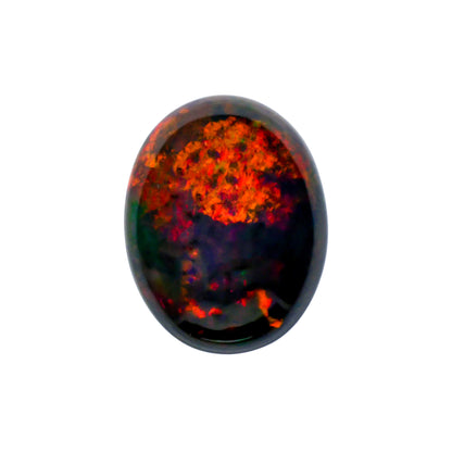 Ethiopian Black Opal Oval Cabochon Loose Gemstone - photo 1