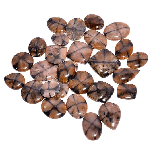  Natural Chiastolite Gemstone Cabochons