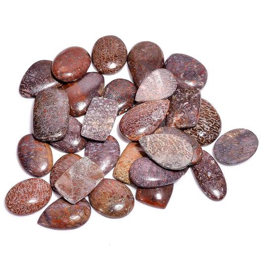 Natural dinosaur bone jasper cabochon lot for rare jewelry making