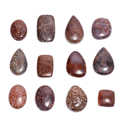 Polished dinosaur bone jasper gemstone meaning and healing properties