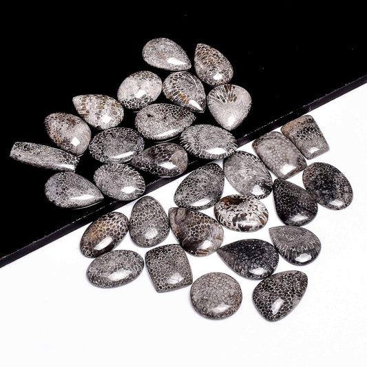 Shop natural black coral cabochons for jewelry making