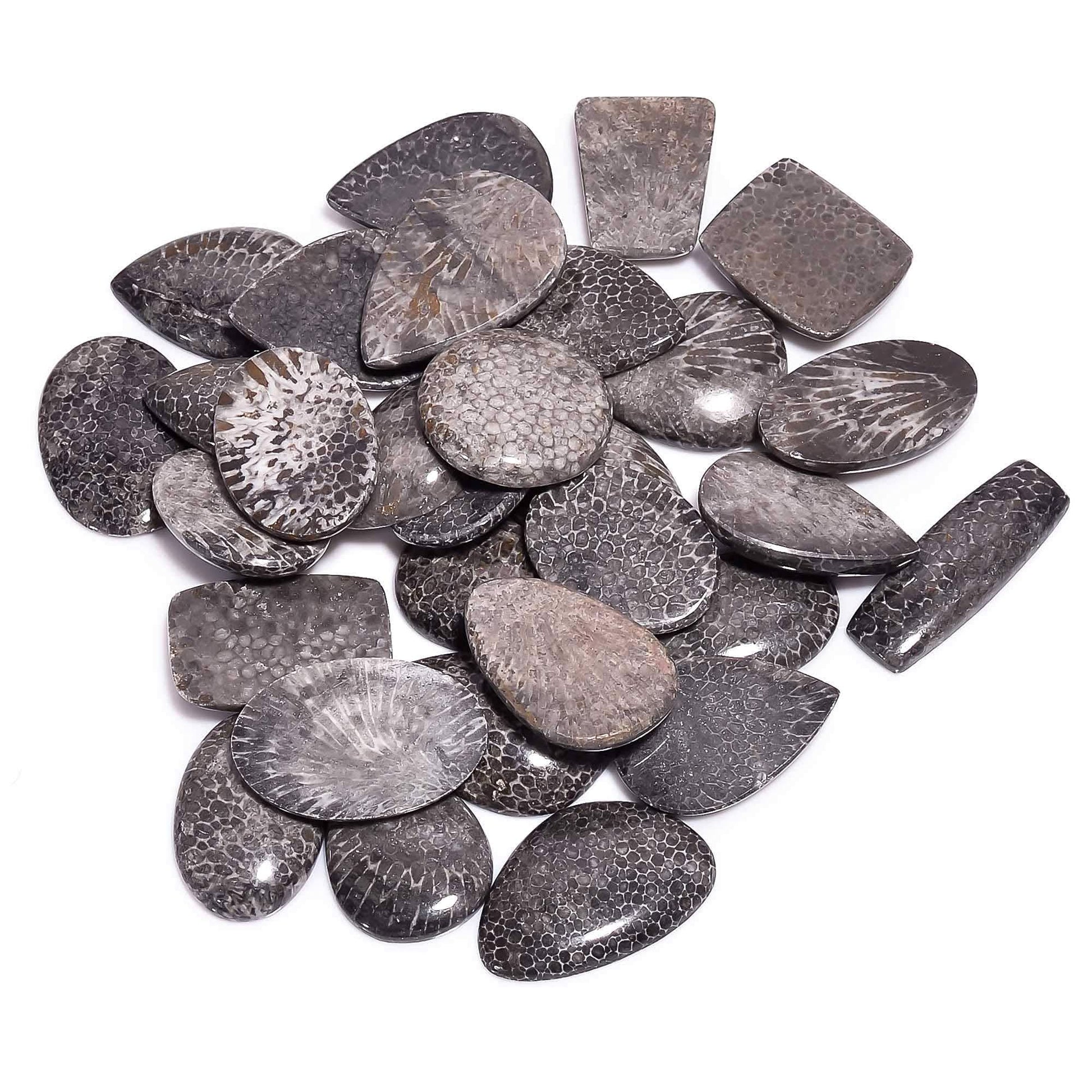Shop natural black coral gemstone cabochons online today