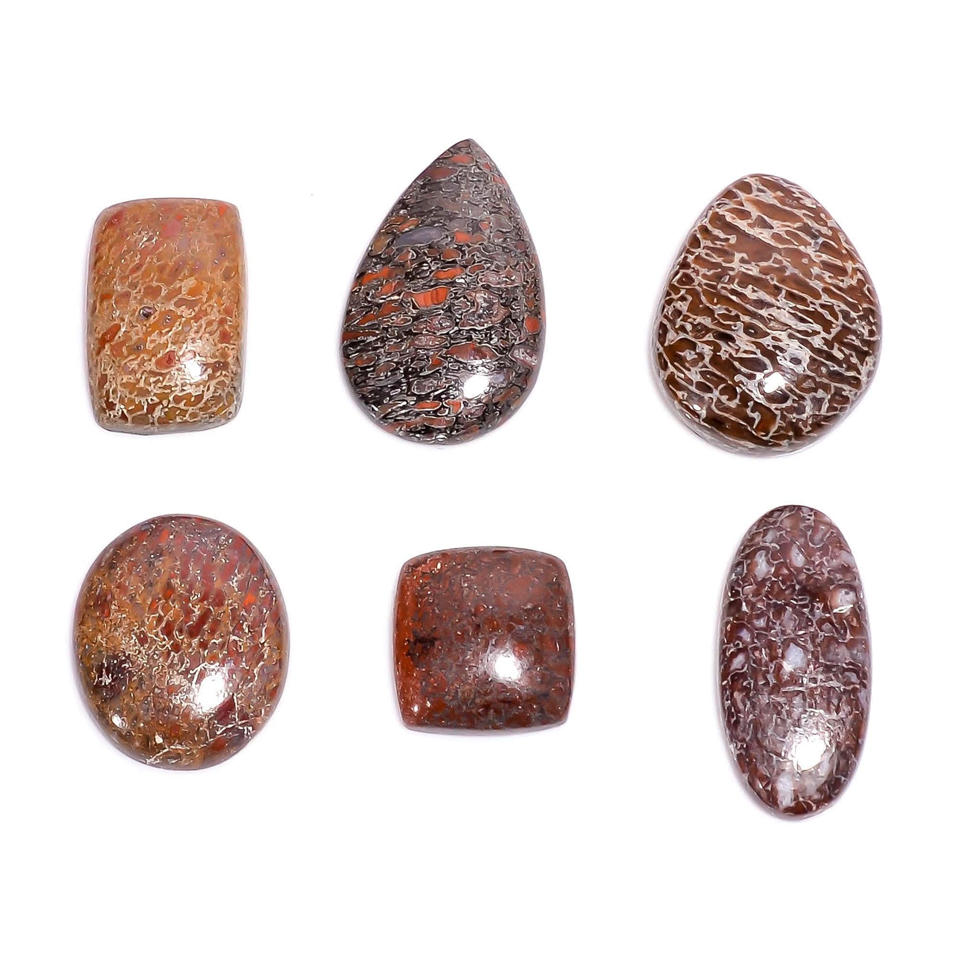 USA origin dinosaur bone jasper cabochons 100ct lot for pendants