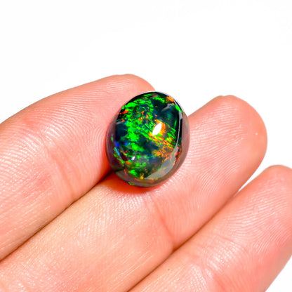 Loose oval-cut black opal glowing with vibrant hues - 6.50 carat 

