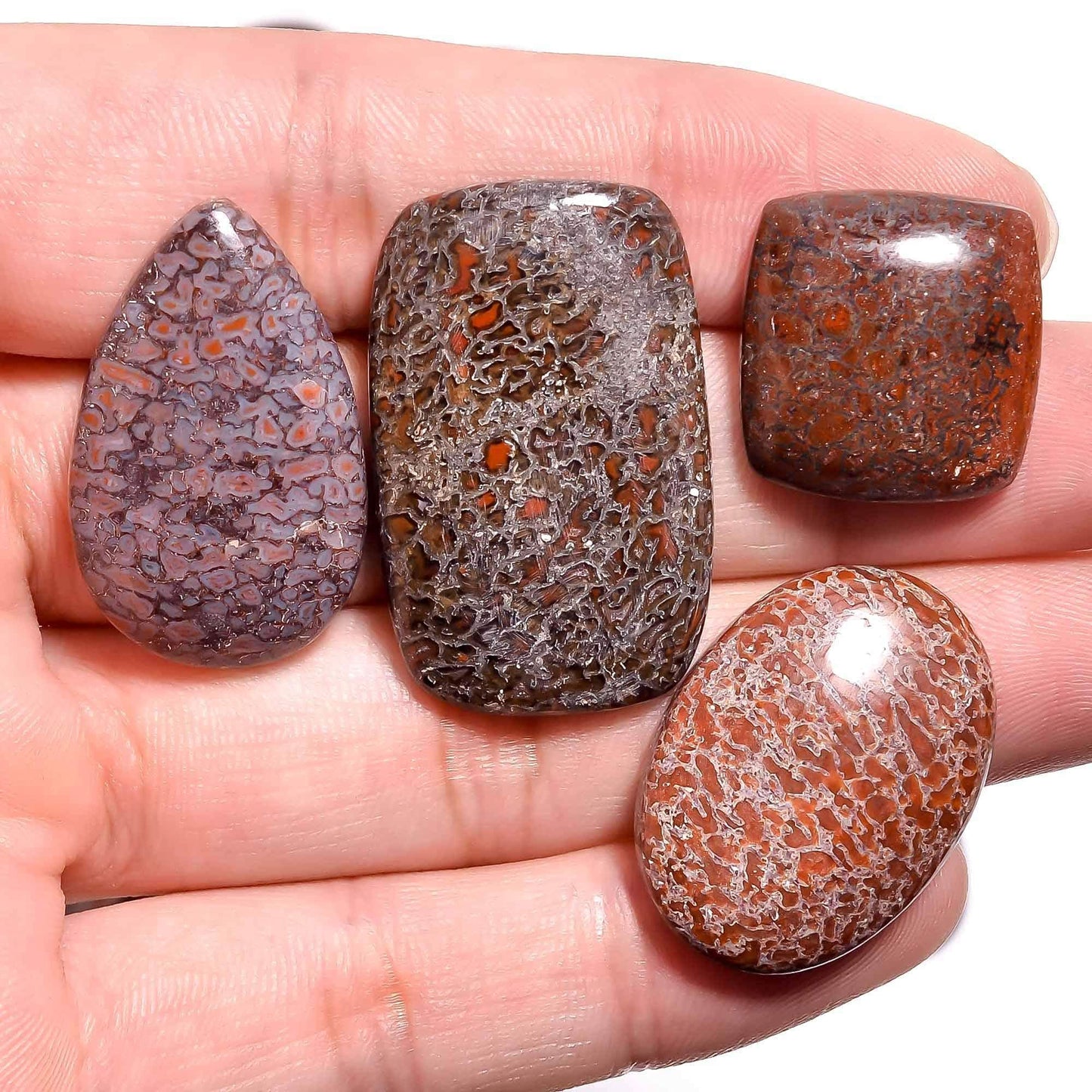 Wholesale jasper cabochons and loose gemstones for collectors
