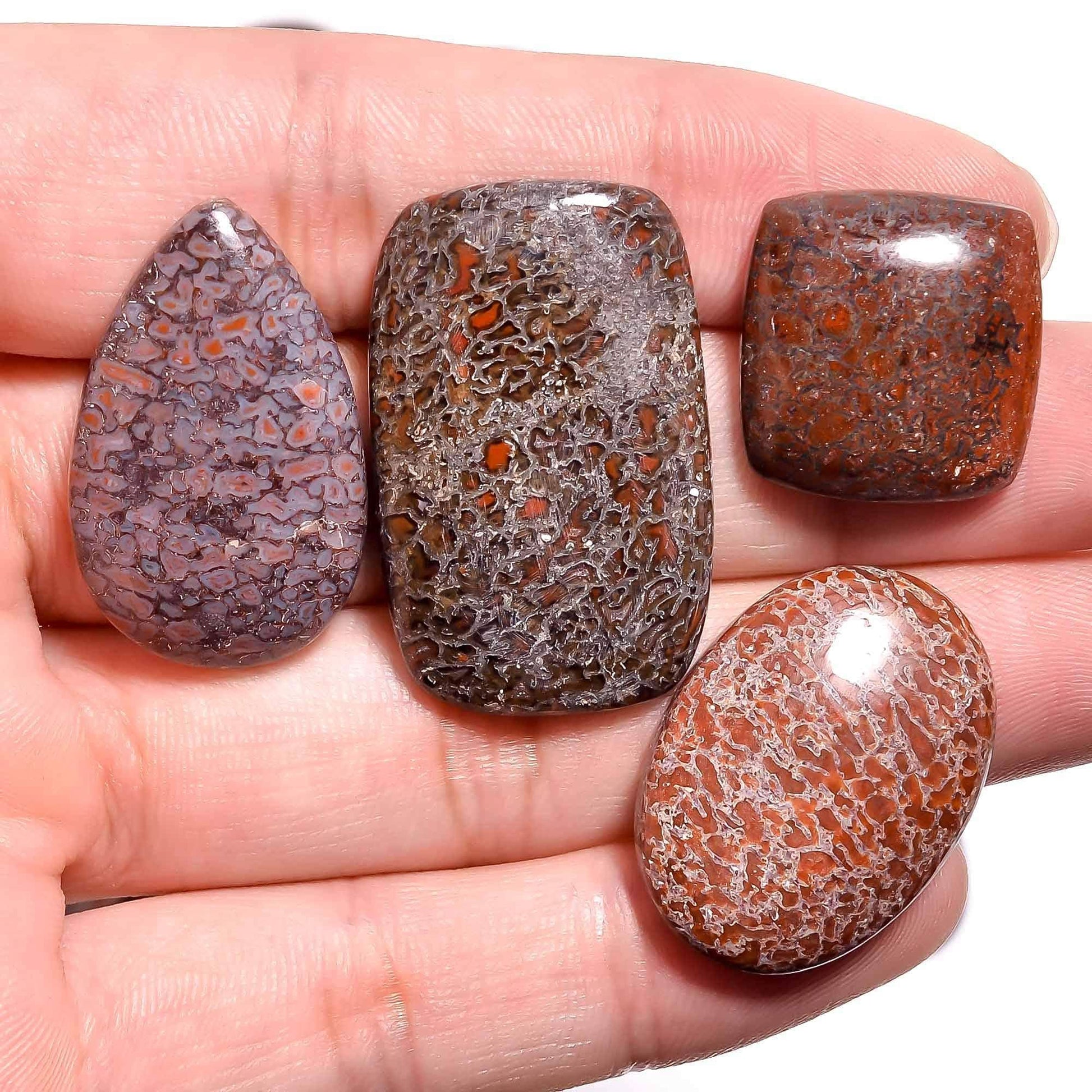 Wholesale jasper cabochons and loose gemstones for collectors
