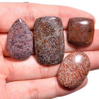 Wholesale jasper cabochons and loose gemstones for collectors