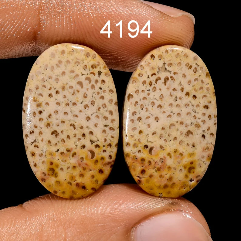 coral cell pattern gemstone pair