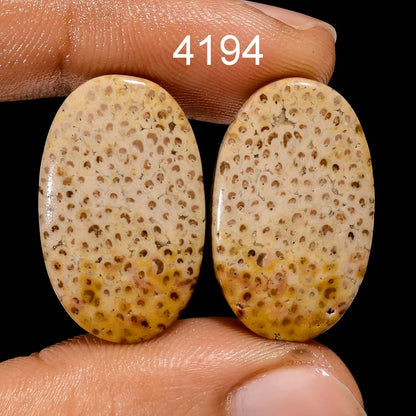 coral cell pattern gemstone pair